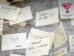 Focus 3 Interno 770 X 580