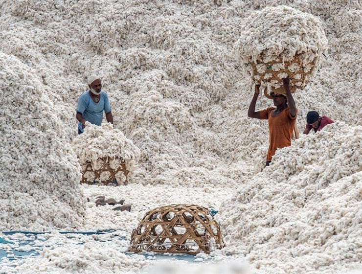 L’ultimo cortocircuito della tracciabilità: il caso Better Cotton