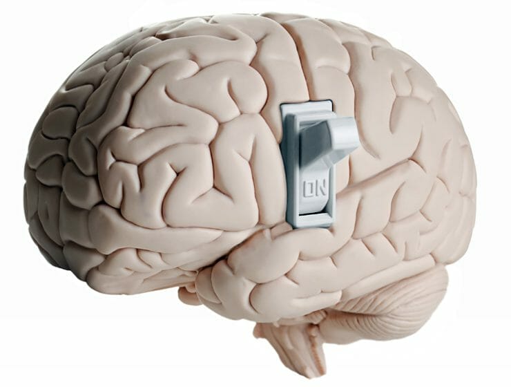 Cognitive switching and the reaction to luxury increases